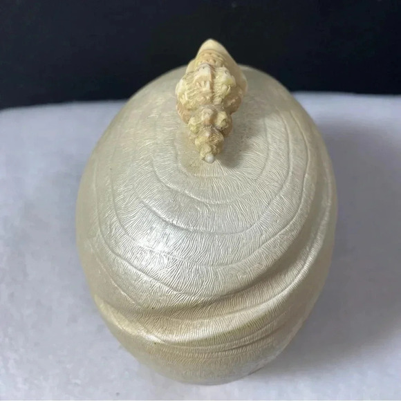 SOLD Croscill Seashell “Beach Haven” Pearly Trinket Jar Box w/ Lid Bath Vanity - Picture 13 of 13
